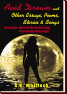 Acid Dream and Other Essays, Poems, Stories & Songs
