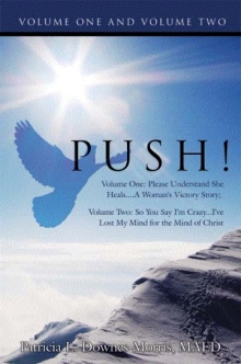 PUSH! - A Victory Story