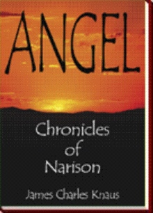 Angel: Chronicles of Narison