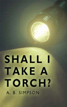 Shall I Take A Torch?