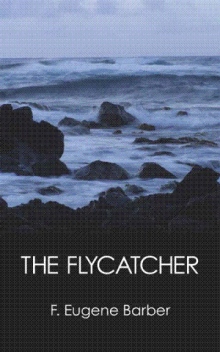 THE FLYCATCHER