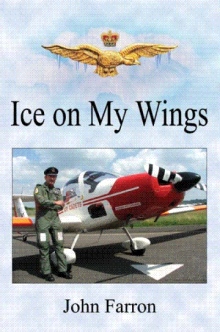 Ice On My Wings