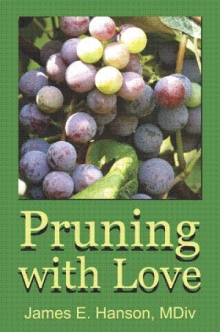 Pruning with Love