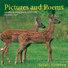 Pictures and Poems
