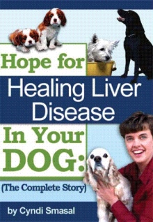 Hope For Healing Liver Disease In Your Dog