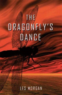 The Dragonfly's Dance
