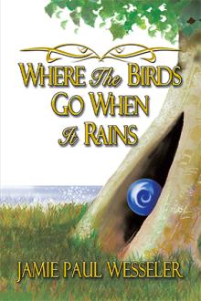 Where The Birds Go When It Rains
