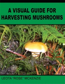 A Visual Guide for Harvesting Mushrooms