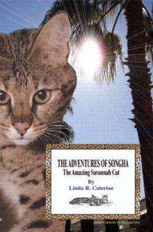 The Adventures of Songha