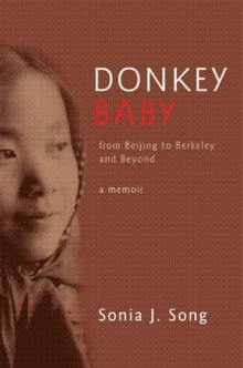 Donkey Baby