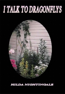 I Talk To Dragonflys