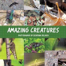 Amazing Creatures