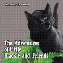 The Adventures of Little Blackie and Friends