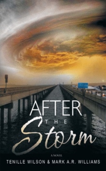 AFTER THE STORM
