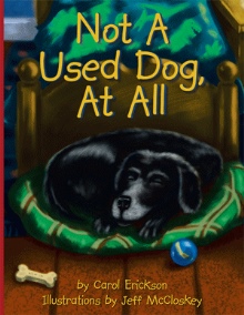 Not A Used Dog, At All