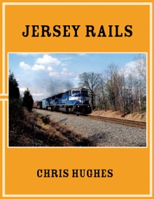 Jersey Rails