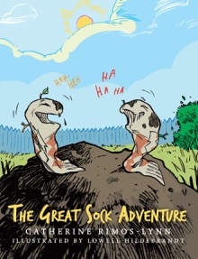The Great Sock Adventure