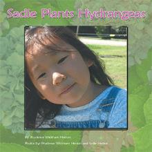 Sadie Plants Hydrangeas