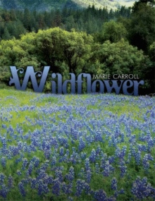 Wildflower