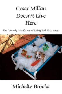 Cesar Millan Doesn't Live Here