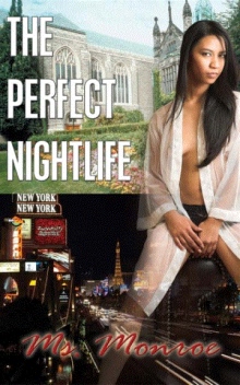 The Perfect Nightlife