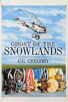 Ghost of the Snowlands