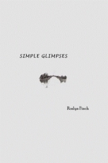 Simple Glimpses