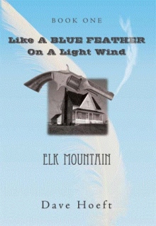 Like A BLUE FEATHER On A Light Wind