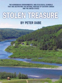 Stolen Treasure