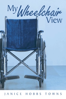 My Wheelchair View