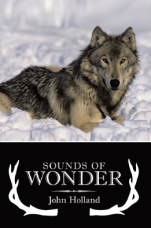 Sounds Of Wonder