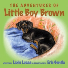 The Adventures of Little Boy Brown