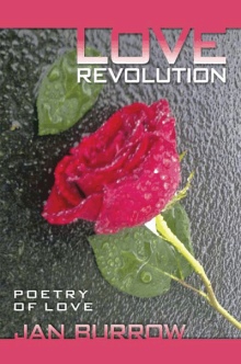 Love Revolution