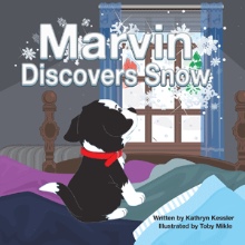 Marvin Discovers Snow
