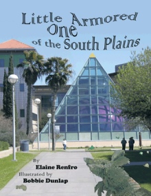 Little Armored One of the South Plains