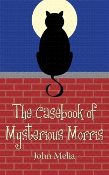 The Casebook of Mysterious Morris