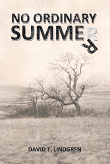 No Ordinary Summer
