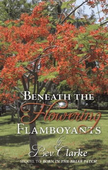 Beneath the Flowering Flamboyants