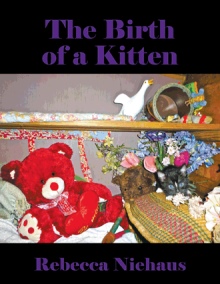 The Birth of a Kitten