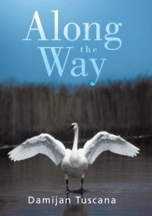 Along the Way