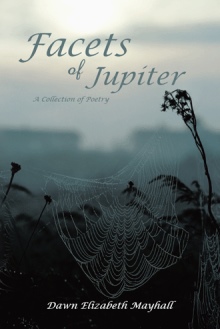 Facets of Jupiter