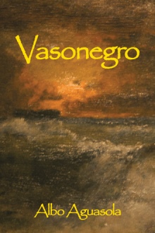Vasonegro