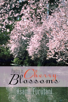 Poetry in Cherry Blossoms