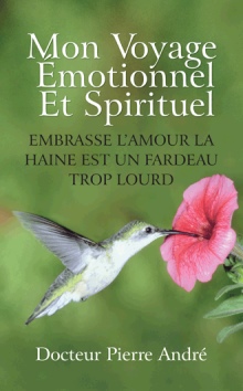 MON VOYAGE ÉMOTIONNEL ET SPIRITUEL