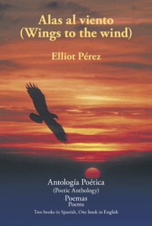 Alas al viento (Wings to the wind)