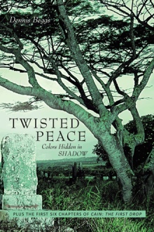 Twisted Peace   Colors Hidden in Shadow