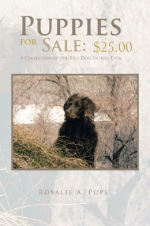 Puppies for Sale: $25.00