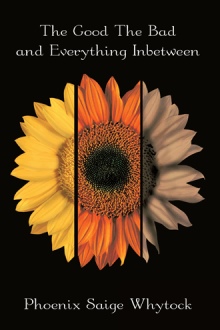 The Good The Bad and Everything Inbetween