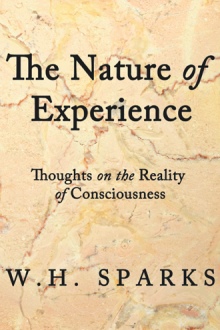 The Nature of Experience