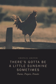 There’s Gotta Be a Little Sunshine Sometimes